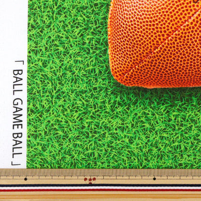 [Cantidad a partir de 5] Tela 『láminas Tinta imprime bola de tamaño real kom-015"