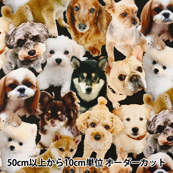 [Cantidad a partir de 5] Tela 『láminas Muelles de impresión de inyección de tinta KOM-016"