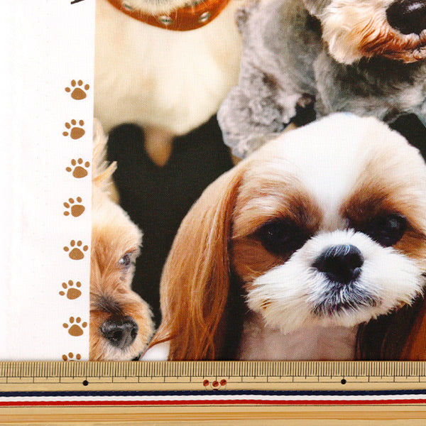 [Cantidad a partir de 5] Tela 『láminas Muelles de impresión de inyección de tinta KOM-016"