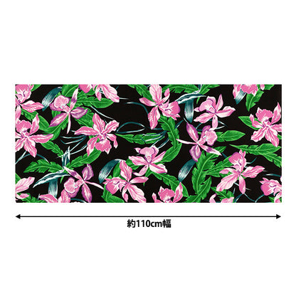 [Quantité à partir de 5] Tissu "Mauna Loa TC Hawaiian Print Cattleya Black x Pink ZK000370"
