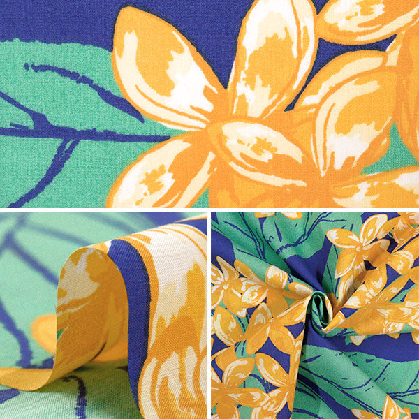 [Quantité à partir de 5] Tissu "Mauna Loa TC Hawaiian Primp Plumeria bouquet bleu x jaune zk000347"
