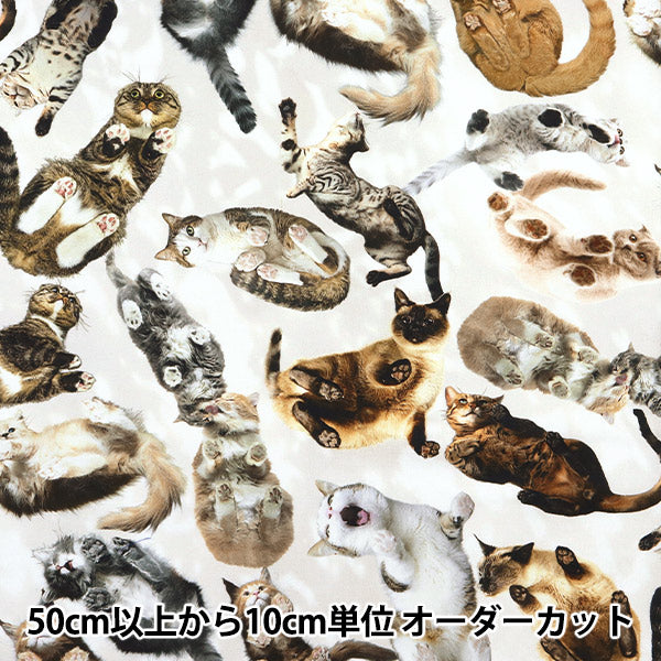 [الكمية تبدأ من 5] الأقمشة "طباعة رقمية minsui cat mingswim012"