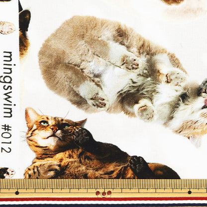 [الكمية تبدأ من 5] الأقمشة "طباعة رقمية minsui cat mingswim012"