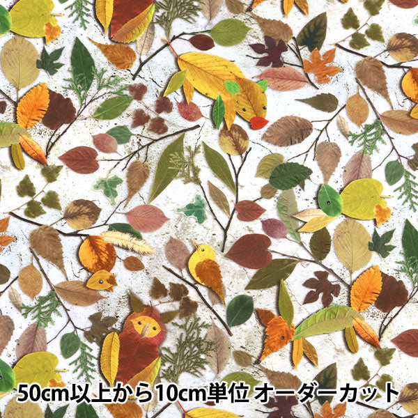 [Cantidad a partir de 5] Tela "Impresión digital: la historia del Kirara Forest RR2018"