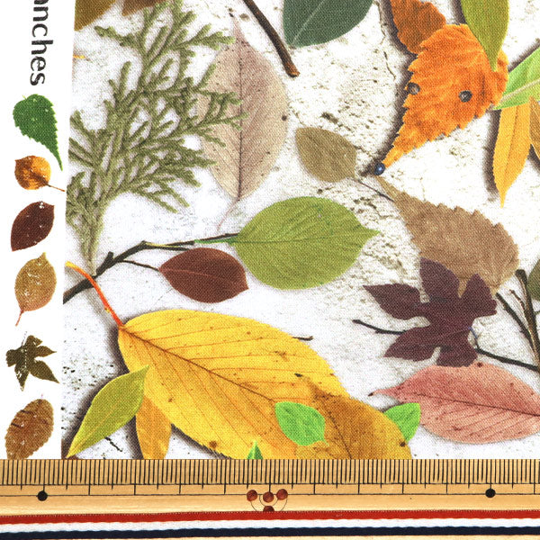 [Cantidad a partir de 5] Tela "Impresión digital: la historia del Kirara Forest RR2018"