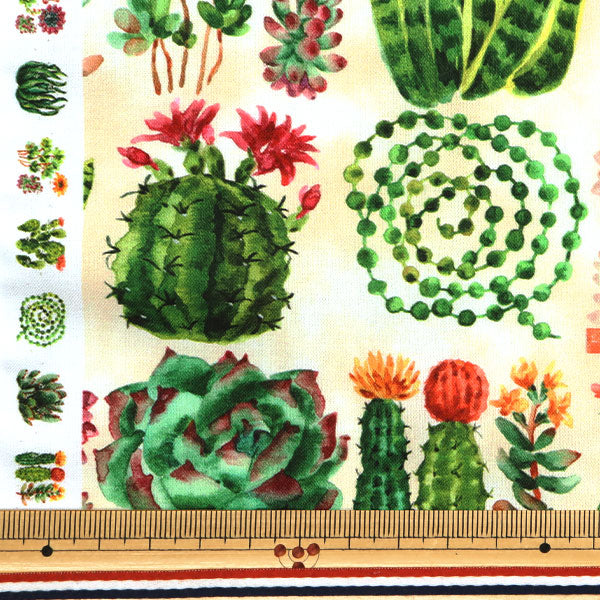 【数量5から】 生地 『デジタルプリント サボテンズ RR2022』