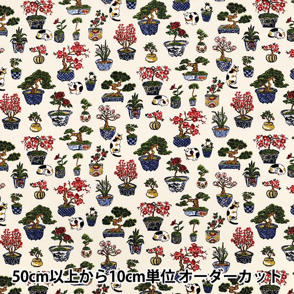 [Quantité à partir de 5] Tissu "siège Bonsaï de style japonais et motif chat ivoire COCO-2510-1A”