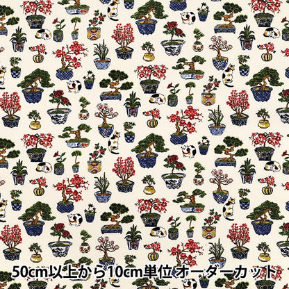 [Quantité à partir de 5] Tissu "siège Bonsaï de style japonais et motif chat ivoire COCO-2510-1A”