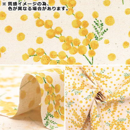 [Menge ab 5] Stoff 『Oxford Mimosa Greige R9005-1c"