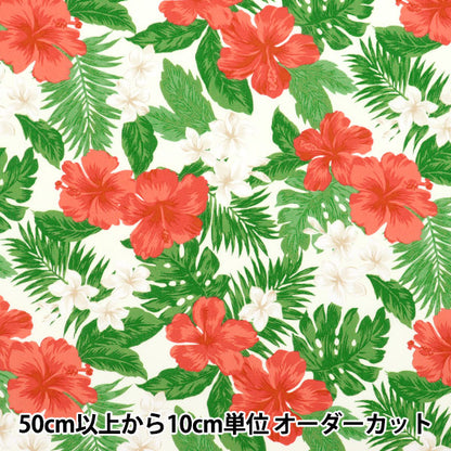 [Cantidad a partir de 5] Tela "TC Hibaiian Print Hibiscus Off X Red R9008-2F"