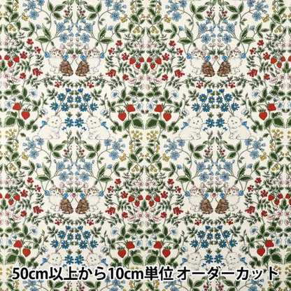 [Anzahl ab 5] Stoff "Nummer 10Oxford Katzengarten Kinari R9014-1A"