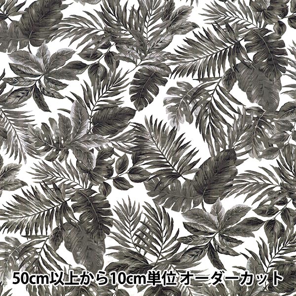 [Quantité à partir de 5] Tissu "Ondulation Monstera Noir R9034-4E”