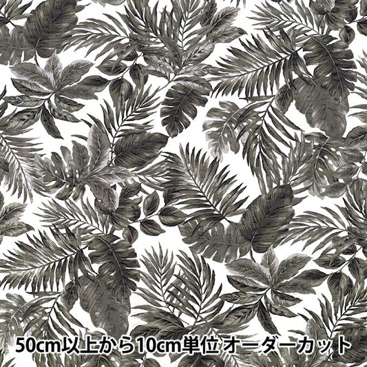 【数量5起】 織物 "瑞波蒙特拉黑色R9034-4E