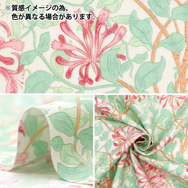 [Quantité à partir de 5] Tissu "Moda Best of Morris siège Chèvrefeuille bleu clair 8362-50"