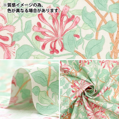 [Quantité à partir de 5] Tissu "Moda Best of Morris siège Chèvrefeuille bleu clair 8362-50"