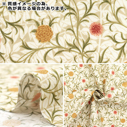 [Quantité à partir de 5] Tissu "Moda Best of Morris siège Faites défiler 8393-15"