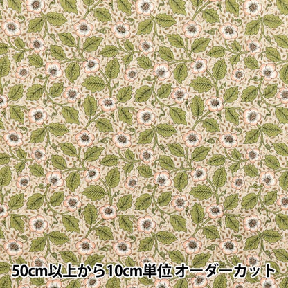 [Quantité à partir de 5] Tissu "Moda Best of Morris siège Antipodes 8396-11"