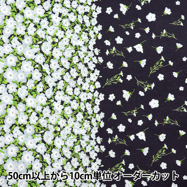 [Количество, начиная с 5] Ткань "Momen-T Moment Cotton Linen Sofrey Nemophila Patter" 【Yuzawayaоригинал】