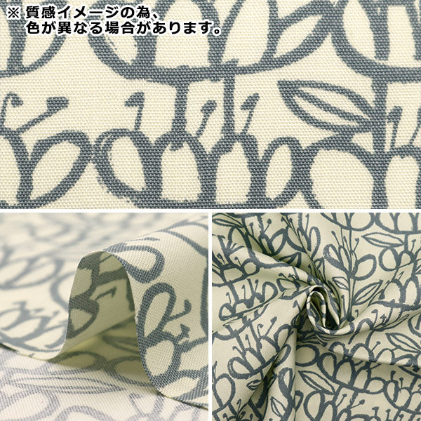 生地 『kippis (キッピス) オックス カットクロス 約108×50cm 水草