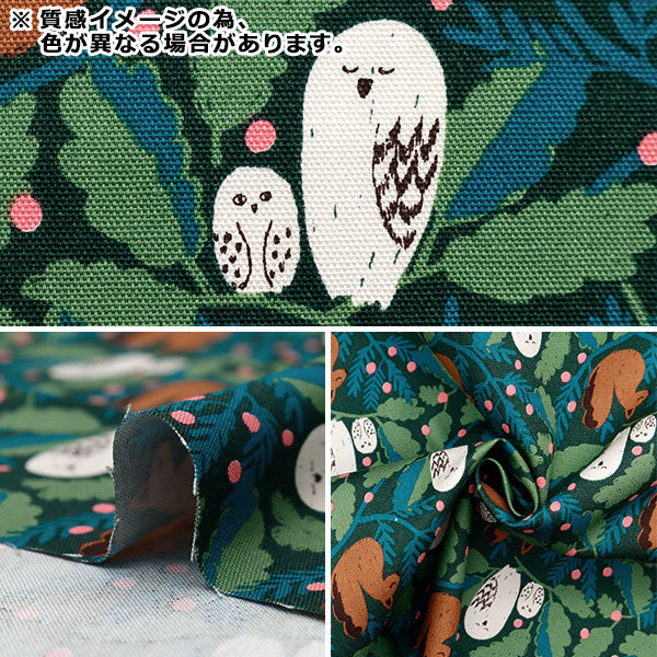 الأقمشة "كيبي أكسفورد قماش مقطوع حوالي 108 × 50 سم غابة السلام الأرجواني KPOK-84C"