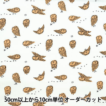 [الكمية تبدأ من 5] الأقمشة "كيبس أكسفورد القطب الشمالي البومة العاجية KPO-87A"