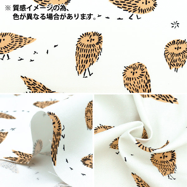 [Quantità a partire da 5] Tessuto "Kippis Oxford Arctic Owl Green KPO-87C"