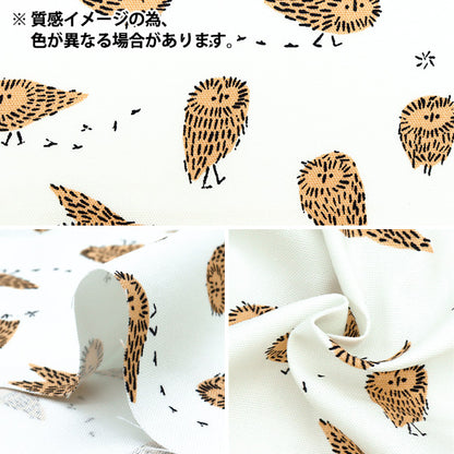 [Quantità a partire da 5] Tessuto "Kippis Oxford Arctic Owl Green KPO-87C"