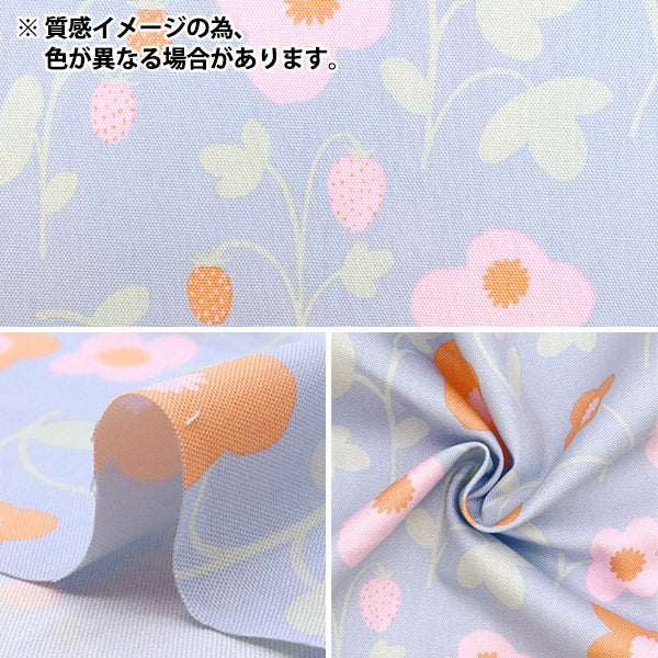 [Quantity starting from 5] Fabric "kippis Oxford Maruyatta Laurier KPO-88B"