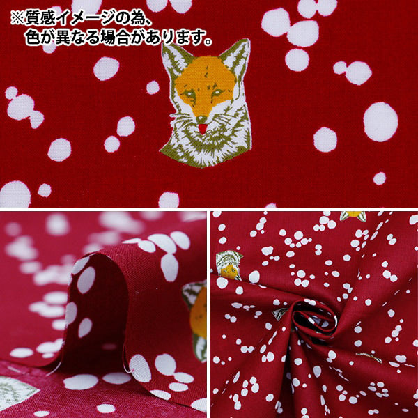 【数量5から】 生地 『echino(エチノ) ローン Fox ネイビー EKX98070-71B』 KOKKA コッカ