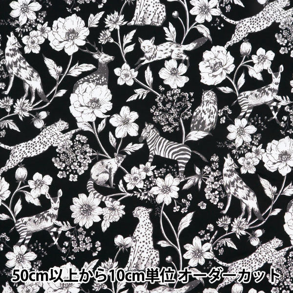[Quantity starting from 5] Fabric "echino Lawn Wonder Black EKX98070-72E" KOKKA