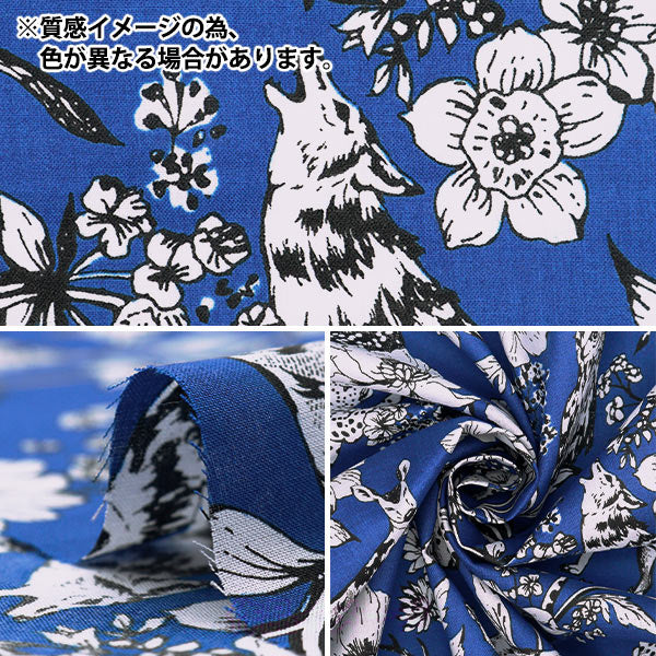 [Quantity starting from 5] Fabric "echino Lawn Wonder Black EKX98070-72E" KOKKA