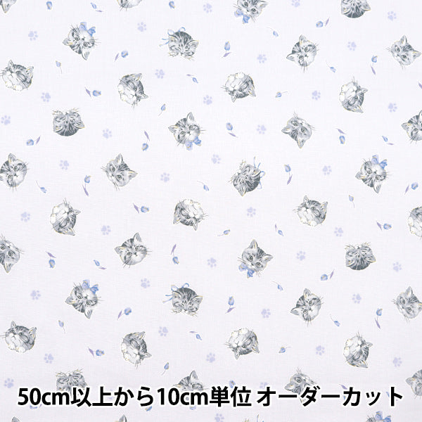 [De la cantidad 5] Tela "Estrella nueva láminas Gato femenino azul nse-cat-bl" KOKKA 【Yuzawayaoriginal】