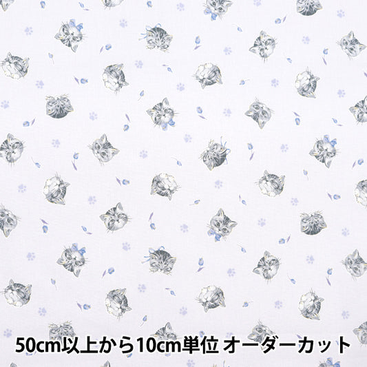 [Dalla quantità 5] Tessuto "Nova fogli Feminine Cat Blue NSE-CAT-BL" KOKKA 【Yuzawayaoriginale】