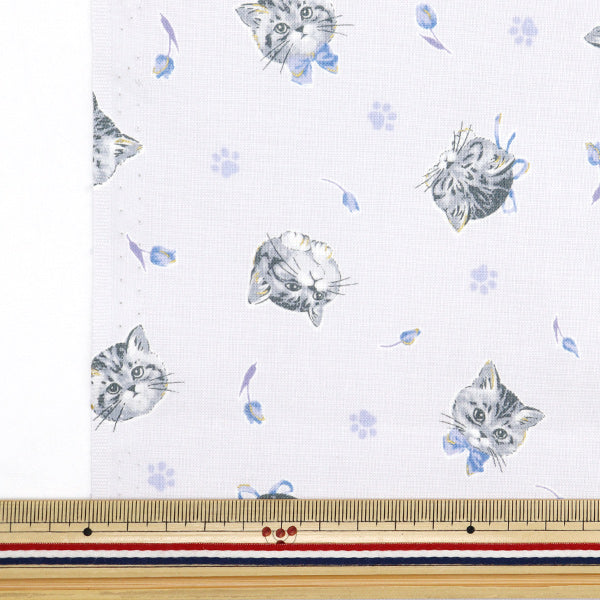 [De la cantidad 5] Tela "Estrella nueva láminas Gato femenino azul nse-cat-bl" KOKKA 【Yuzawayaoriginal】