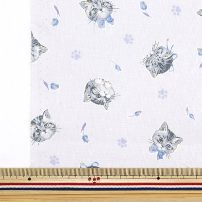 [De la cantidad 5] Tela "Estrella nueva láminas Gato femenino azul nse-cat-bl" KOKKA 【Yuzawayaoriginal】