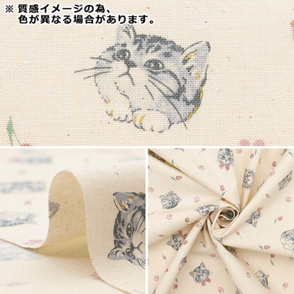 [De la cantidad 5] Tela "Estrella nueva láminas Gato femenino azul nse-cat-bl" KOKKA 【Yuzawayaoriginal】