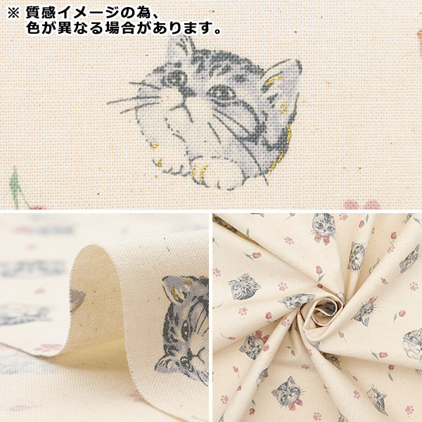 [De la quantité 5] Tissu "Nova siège Cat féminin vert nse-cat-gr" KOKKA 【Yuzawayaoriginal】