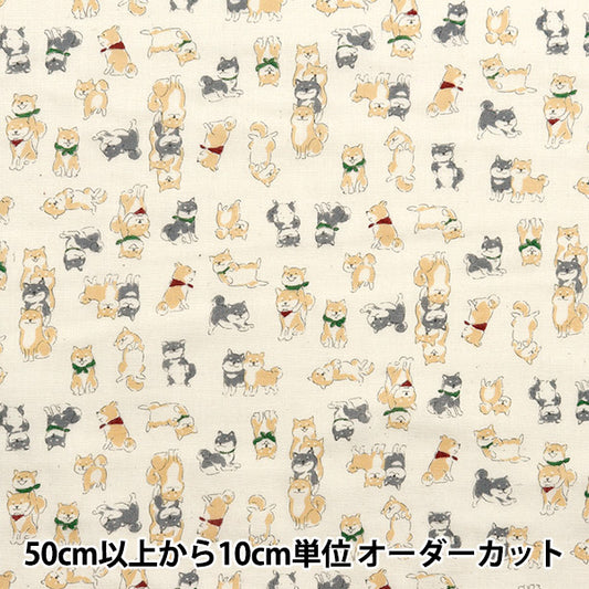 [From quantity 5] Fabric 『double gauze Chibi Puri SHIBA Kinari YKA-29090-1A" KOKKA