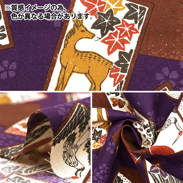 [From quantity 5] Fabric 『Sheeting Flower bill C YPA-59050-2C" KOKKA