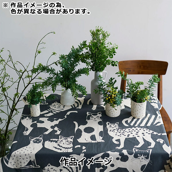 [Cantidad a partir de 5] Tela "Echino Nekonoe Cat Cat Cotton Linen Canvas Charcoal Grey EYX-91000-101B" KOKKA