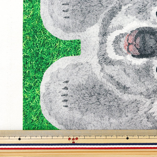 الأقمشة Home Deco Animals Inkjetقماش مقطوع الحيوانات ملقاة على العشب تقريبا. 108 سم × 100 سم yga-81030-2a" KOKKA