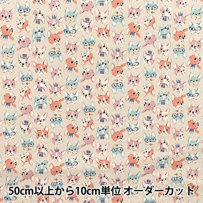 [Quantity starting from 5] Fabric 『Oxford Chibi Puri French Bulldog Kinari YKA-31120-2A" KOKKA