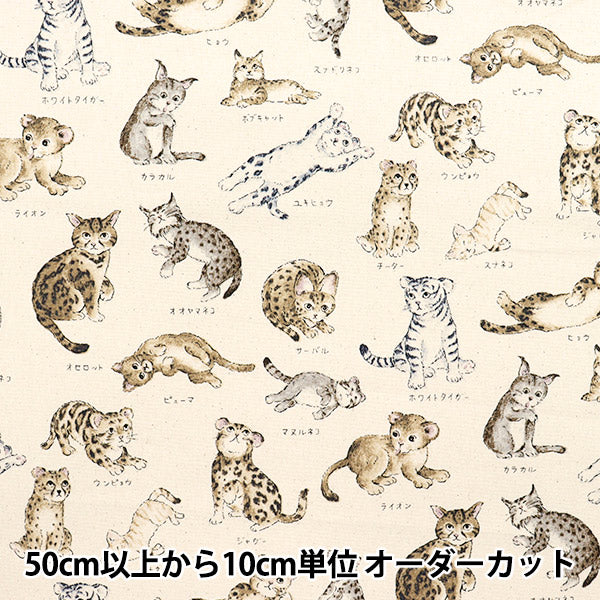 [Cantidad a partir de 5] Tela 『Oxford Serie de enciclopedia Cat-City YPA-61000-1A" KOKKA