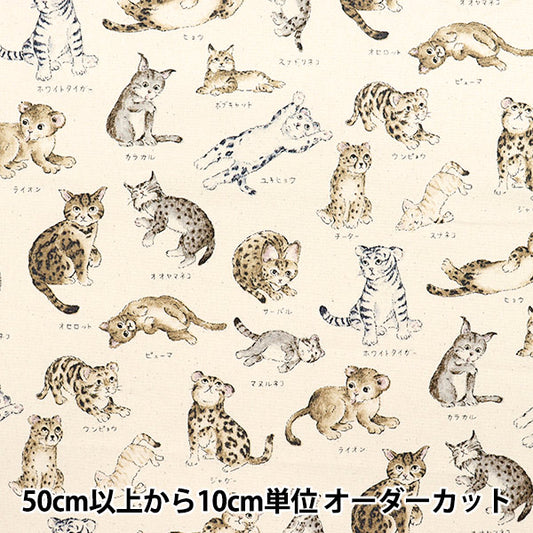 [5부터 시작하는 수량] 천・원단 『옥스 백과 사전 시리즈 CAT-CITY YPA-61000-1A" KOKKA