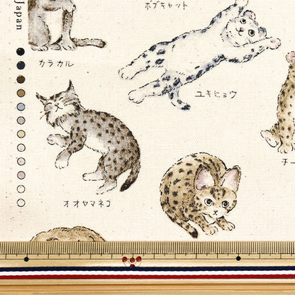 [Cantidad a partir de 5] Tela 『Oxford Serie de enciclopedia Cat-City YPA-61000-1A" KOKKA