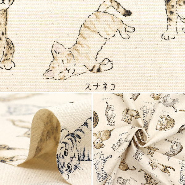 [Cantidad a partir de 5] Tela 『Oxford Serie de enciclopedia Cat-City YPA-61000-1A" KOKKA