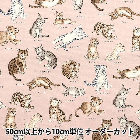 [Количество, начиная с 5] Ткань 『Оксфорд Серия энциклопедии Cat-City YPA-61000-1B" KOKKA