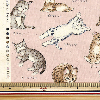 [Cantidad a partir de 5] Tela 『Oxford Serie de enciclopedia Cat-City YPA-61000-1B" KOKKA