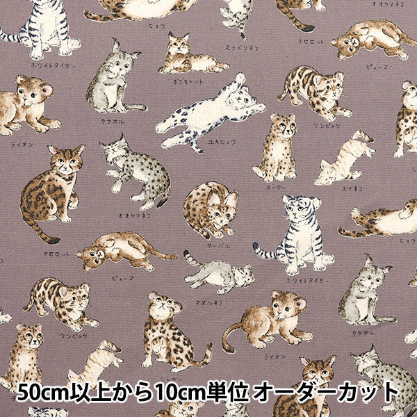 [Cantidad a partir de 5] Tela 『Oxford Enciclopedia Serie Cat-City YPA-61000-1C" KOKKA