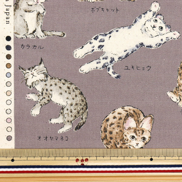 [Cantidad a partir de 5] Tela 『Oxford Enciclopedia Serie Cat-City YPA-61000-1C" KOKKA